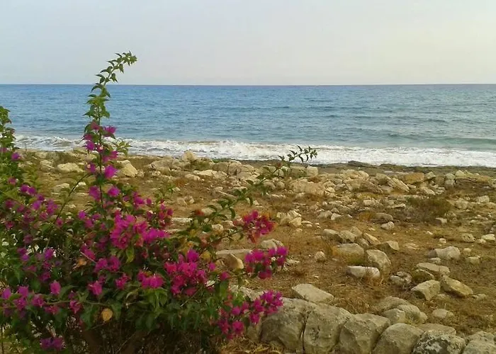 Da Beatrice 招待所 莫迪卡