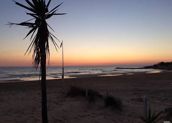 Da Beatrice 招待所 *